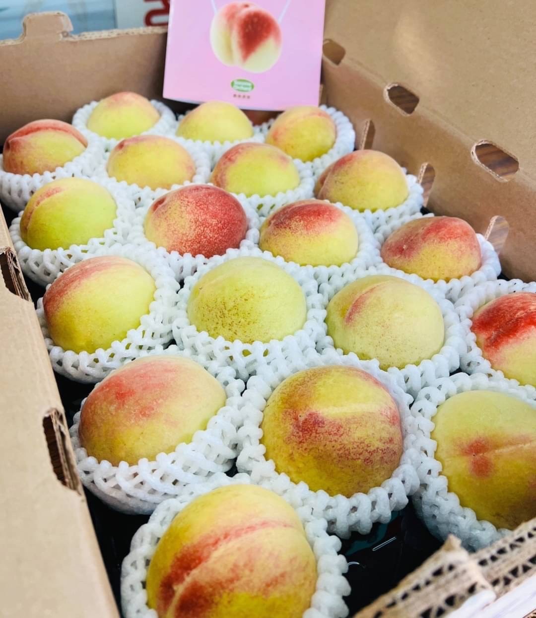 🇺🇸美國 加州 頂級 壽康桃🍑✨翠玉品種🍑2