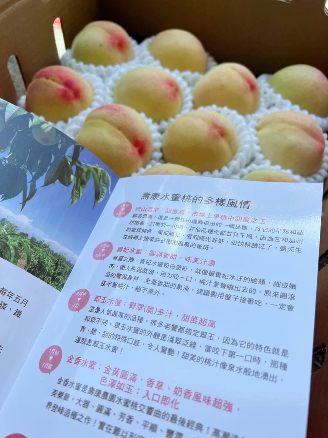 🇺🇸美國 加州 頂級 壽康水蜜桃🍑2