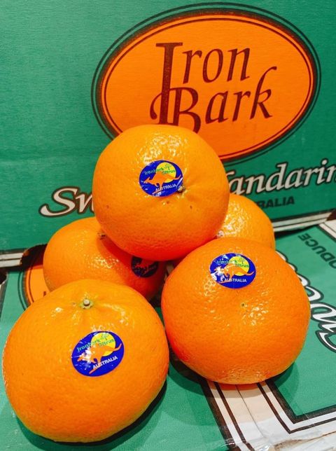 🦘澳洲 最強品種 香甜多汁 大蜜柑🍊