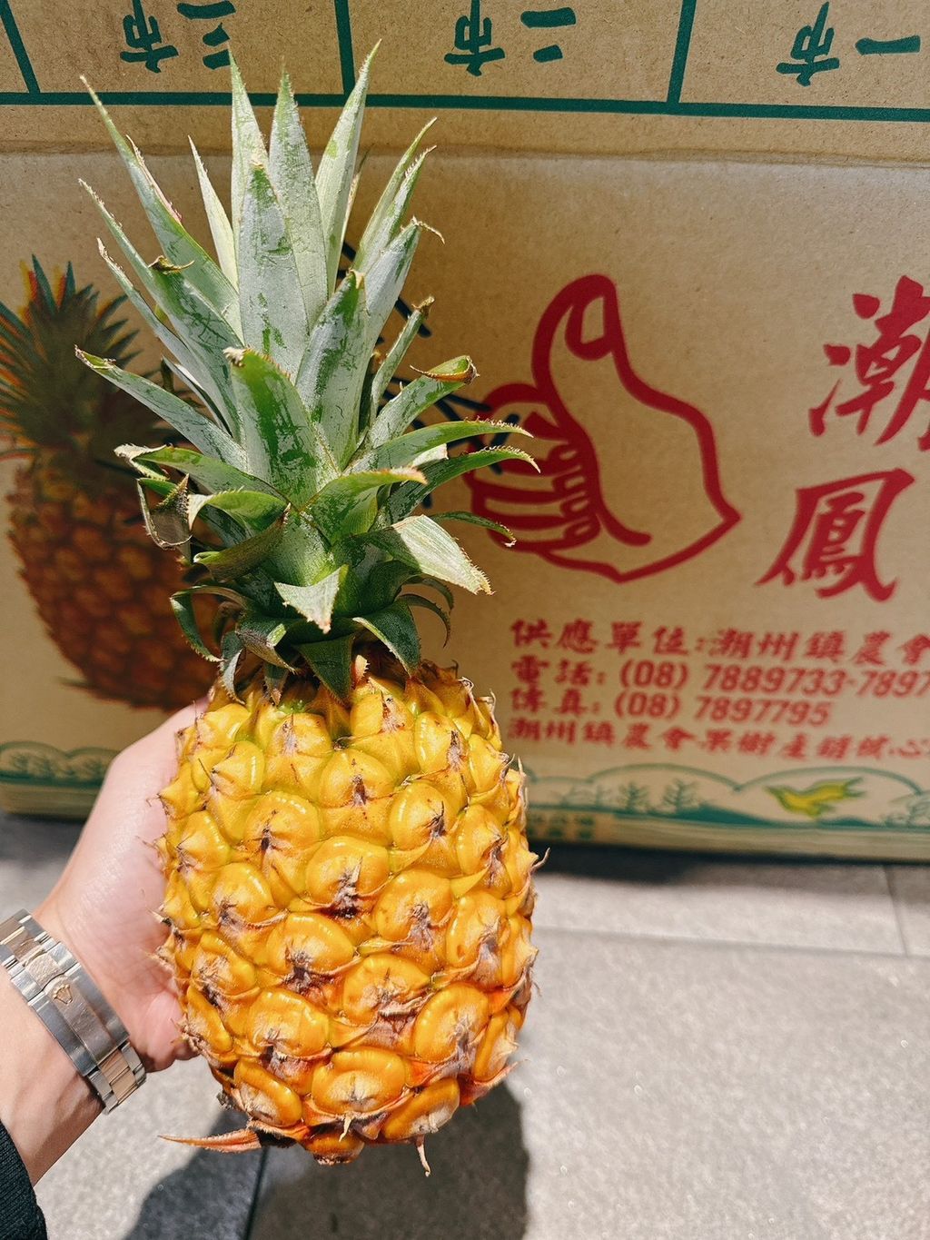 🇹🇼香甜有機 高甜度 櫻桃鳳梨🍍