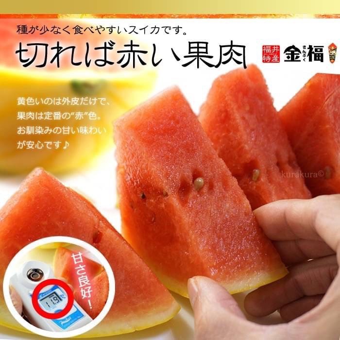 🇯🇵日本 福井 《金福 銀福   西瓜》原裝一玉🍉5