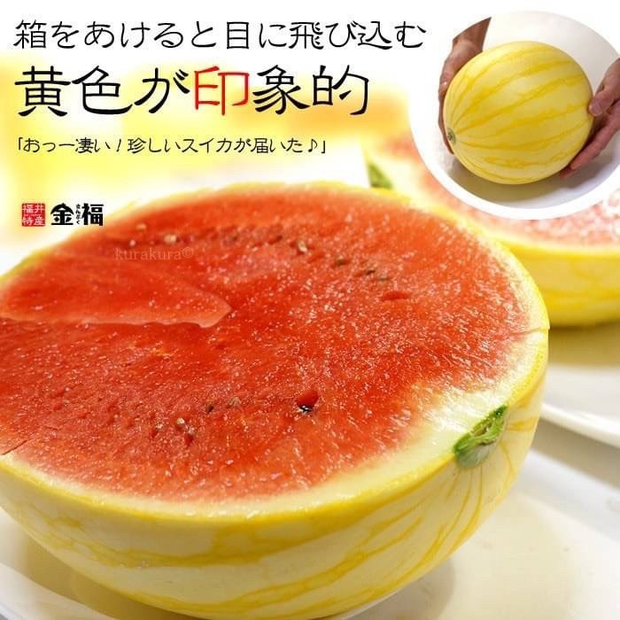 🇯🇵日本 福井 《金福 銀福   西瓜》原裝一玉🍉4