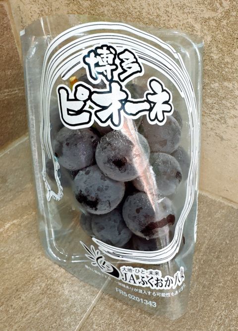 🇯🇵日本 福岡 八女 ピオーネ 貓眼 黑葡萄🍇
