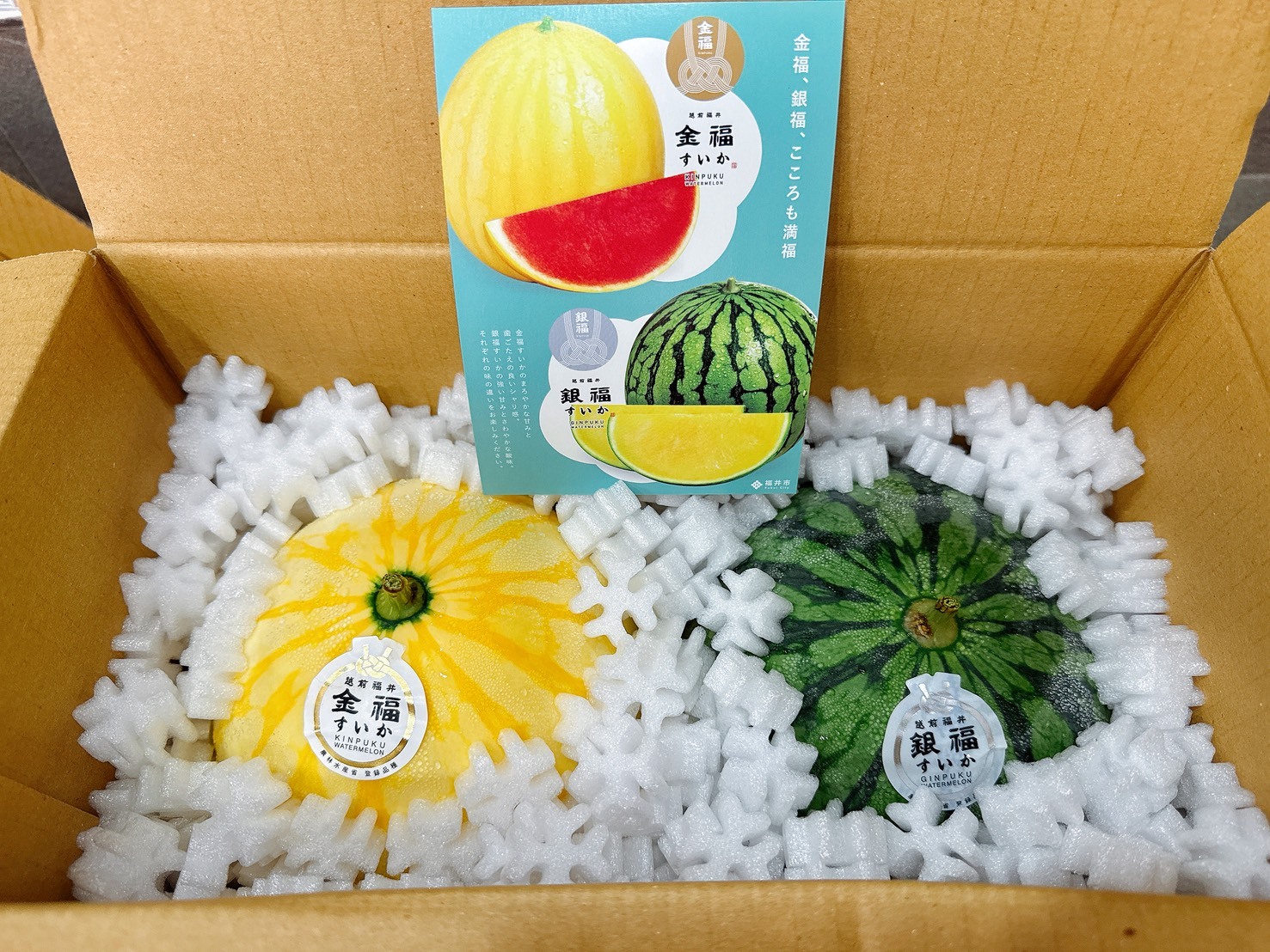 🇯🇵日本 福井 《金福 銀福   西瓜》原裝一玉🍉9