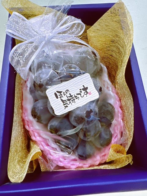 🇯🇵日本 岡山 貓眼葡萄 一房禮盒🍇