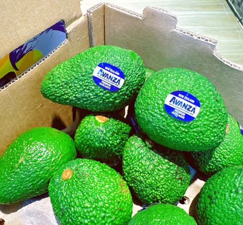 🇳🇿紐西蘭 濃醇香 鱷魚皮 哈斯 酪梨🥑