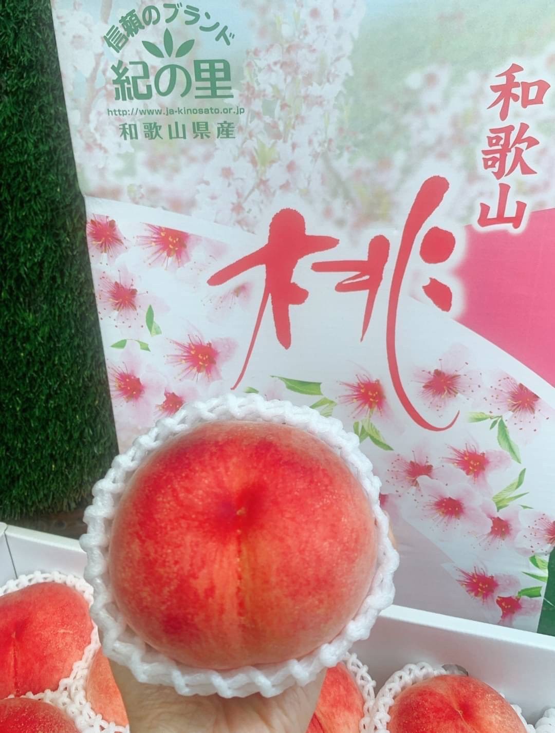 🇯🇵日本 和歌山 夏子 水蜜桃🍑