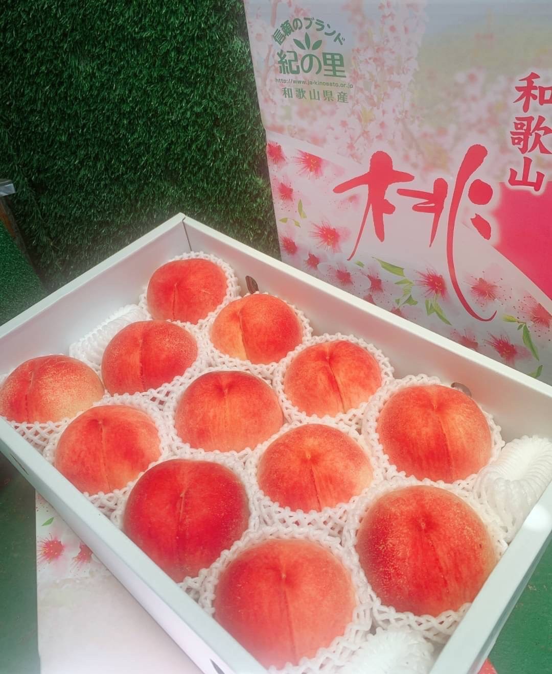 🇯🇵日本 和歌山 夏子 水蜜桃🍑3