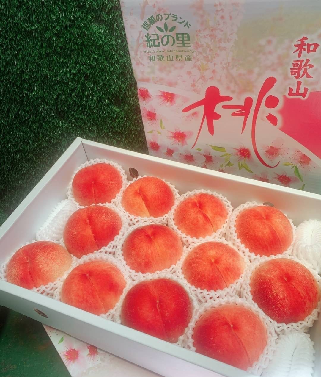 🇯🇵日本 和歌山 夏子 水蜜桃🍑2