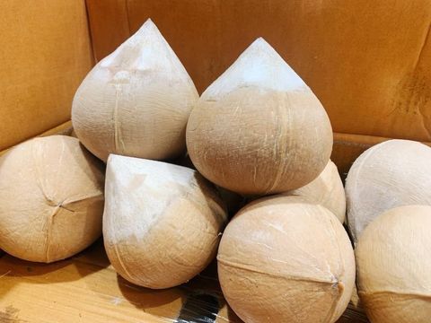🇻🇳越南 芋香 香水椰子🥥