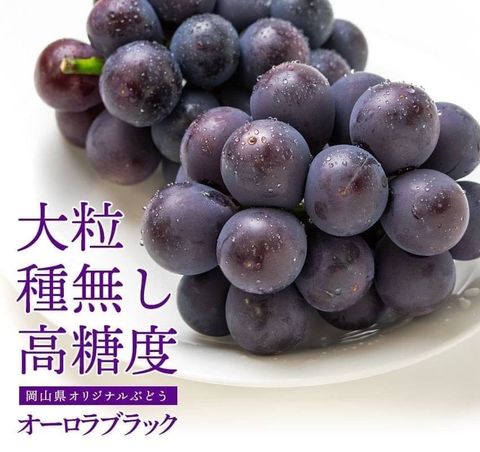 🇯🇵日本 岡山 歐若拉 オーロラブラック極光黑葡萄 一房禮盒🍇2