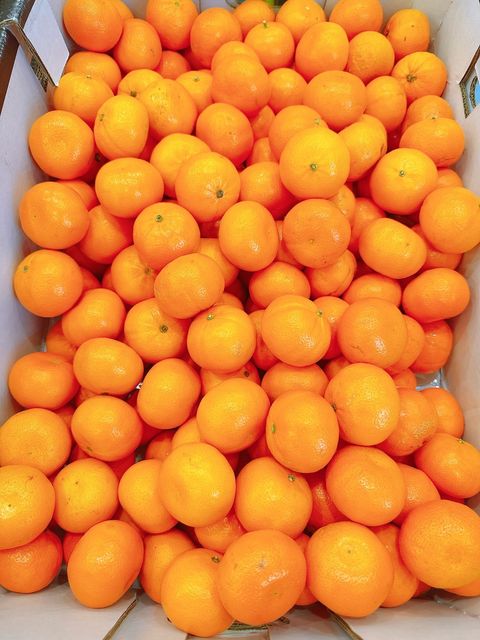 🦘澳洲 香甜多汁 砂糖橘 一斤袋裝🍊
