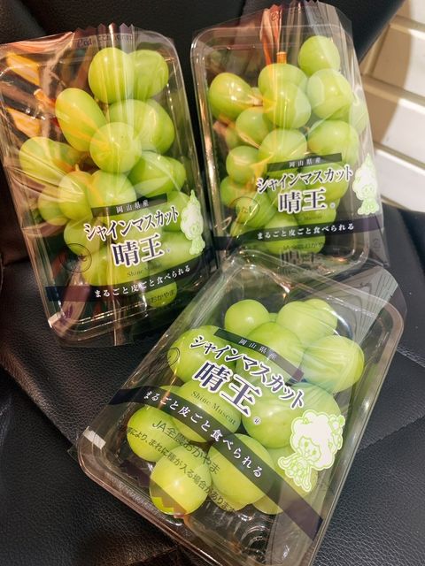 🇯🇵日本 岡山 晴王 麝香葡萄 輕巧包 🍇