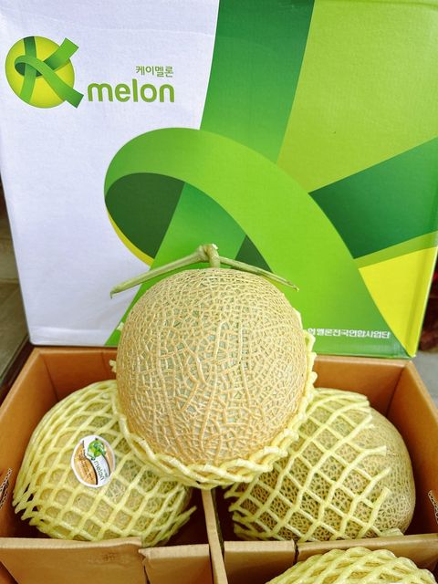 🇰🇷韓國 綠肉 網紋哈密瓜🍈