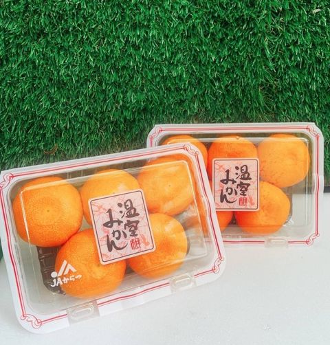 🇯🇵日本 佐賀唐津 頂級 溫室 蜜柑🍊