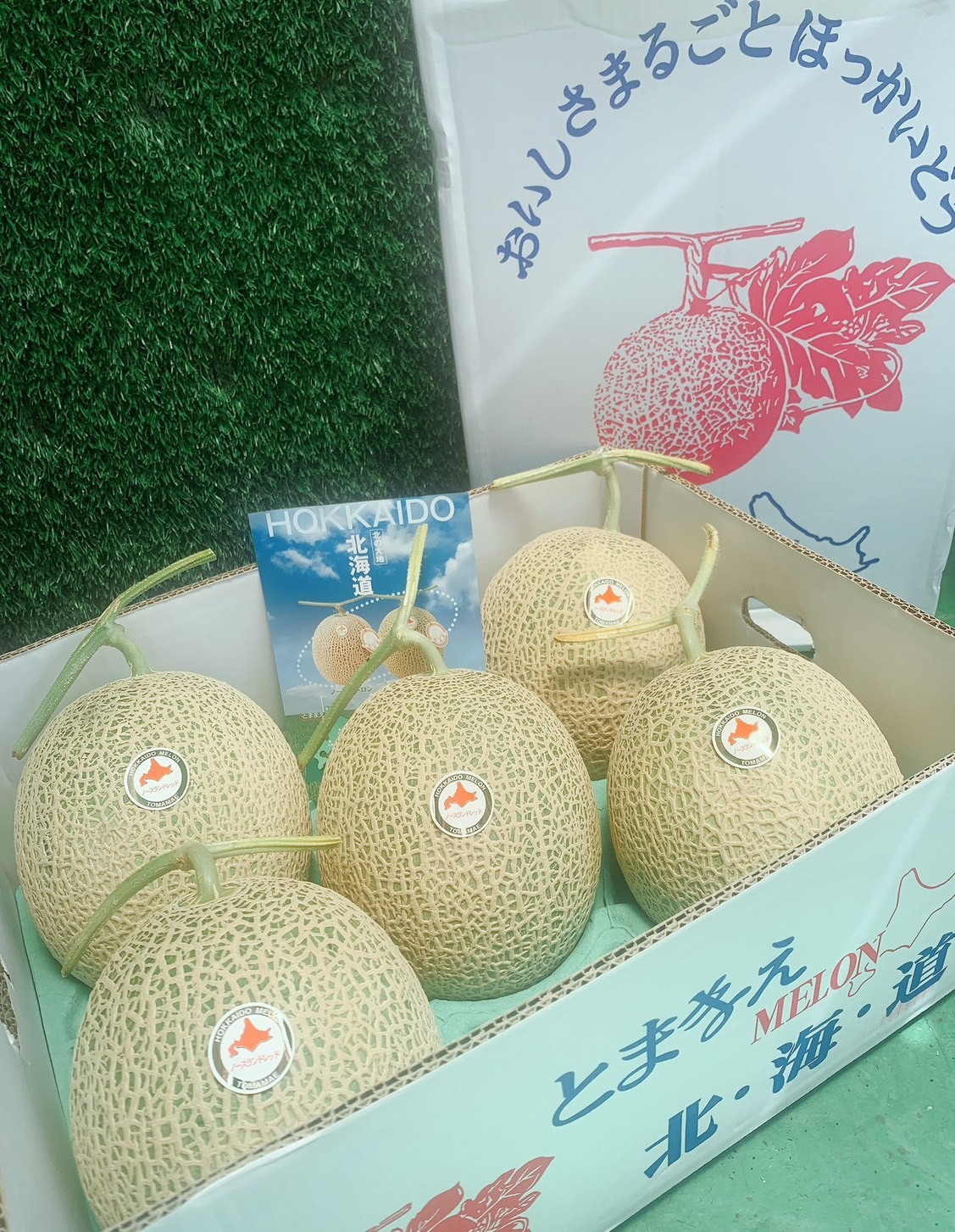 🇯🇵日本 北海道 苫前 赤肉哈密瓜🍈2