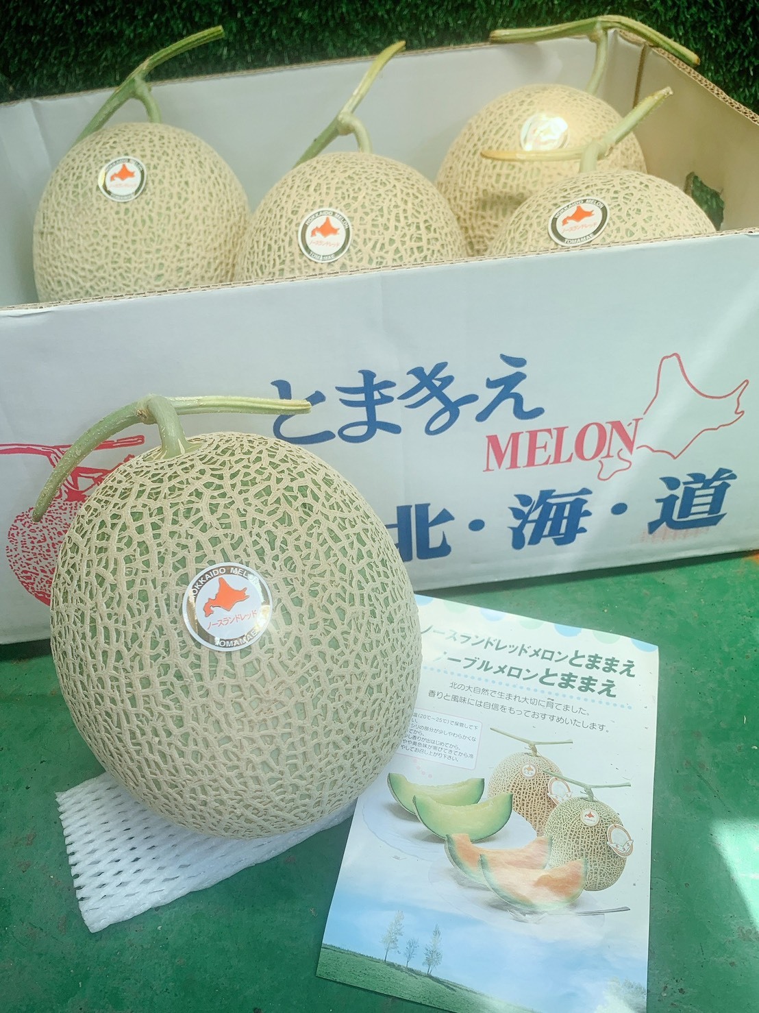 🇯🇵日本 北海道 苫前 赤肉哈密瓜🍈4