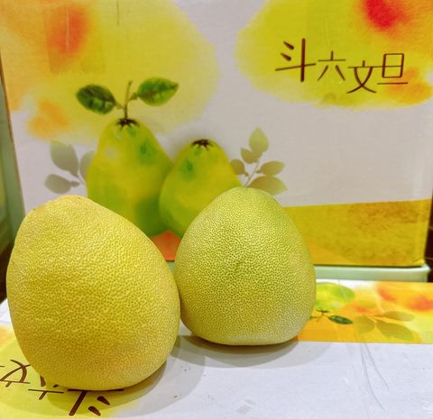 🇹🇼斗六 老欉文旦🤤