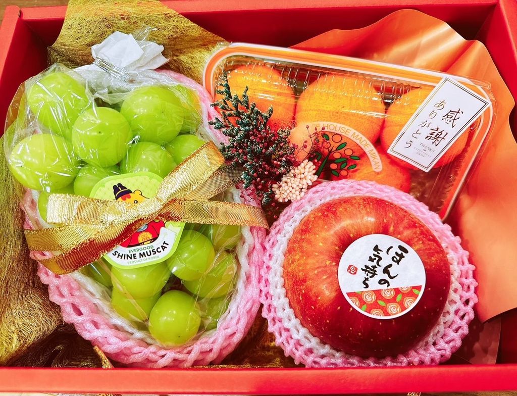 《光芒之階・極致》