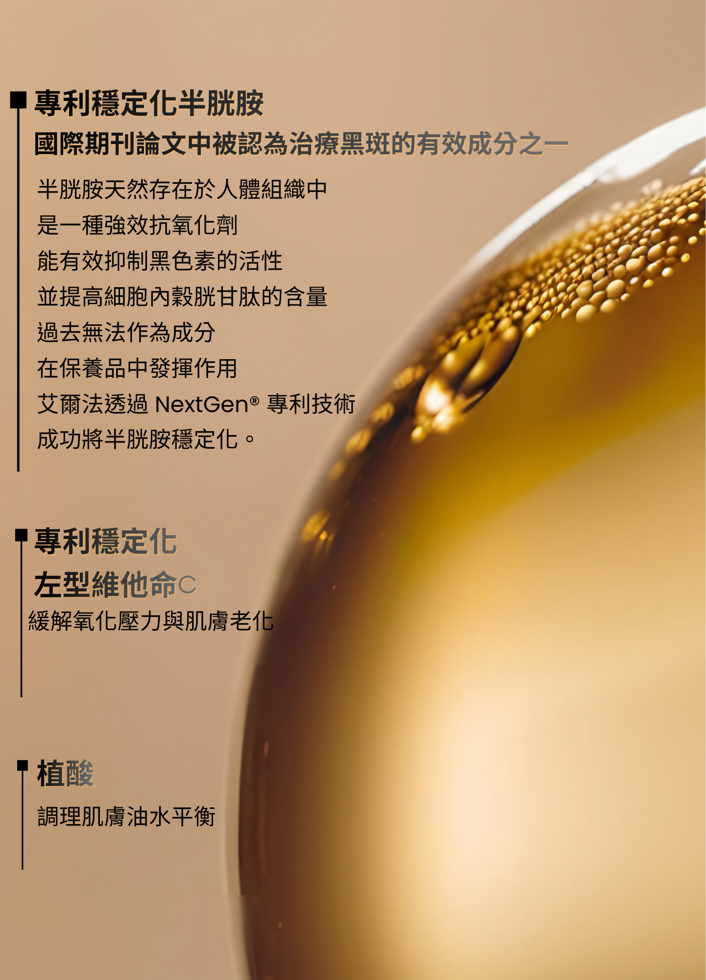 MELA BRIGHT [C+] brochure EN 2025.pdf (5)