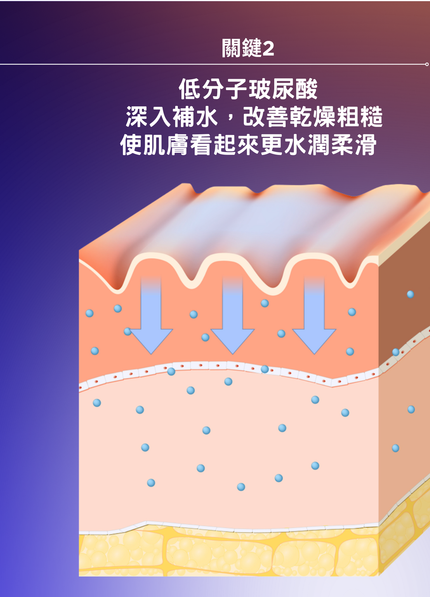 玻尿酸增效保濕精華