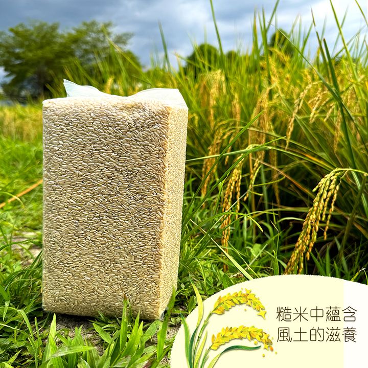 一起來捐米