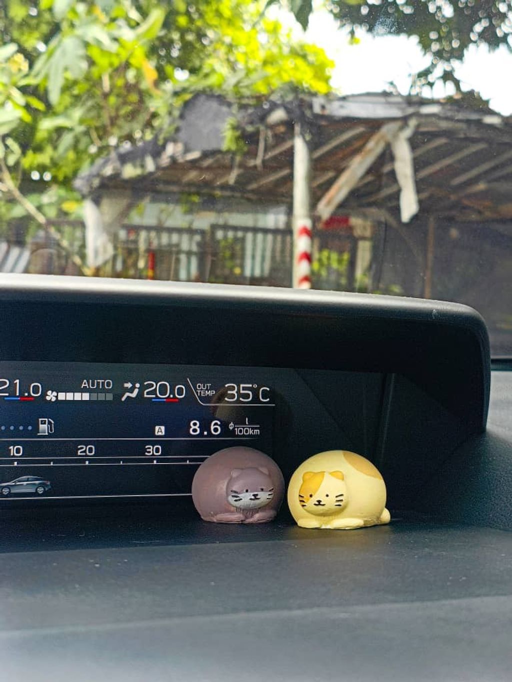 WhatsApp Image 2024-06-30 at 20.53.41