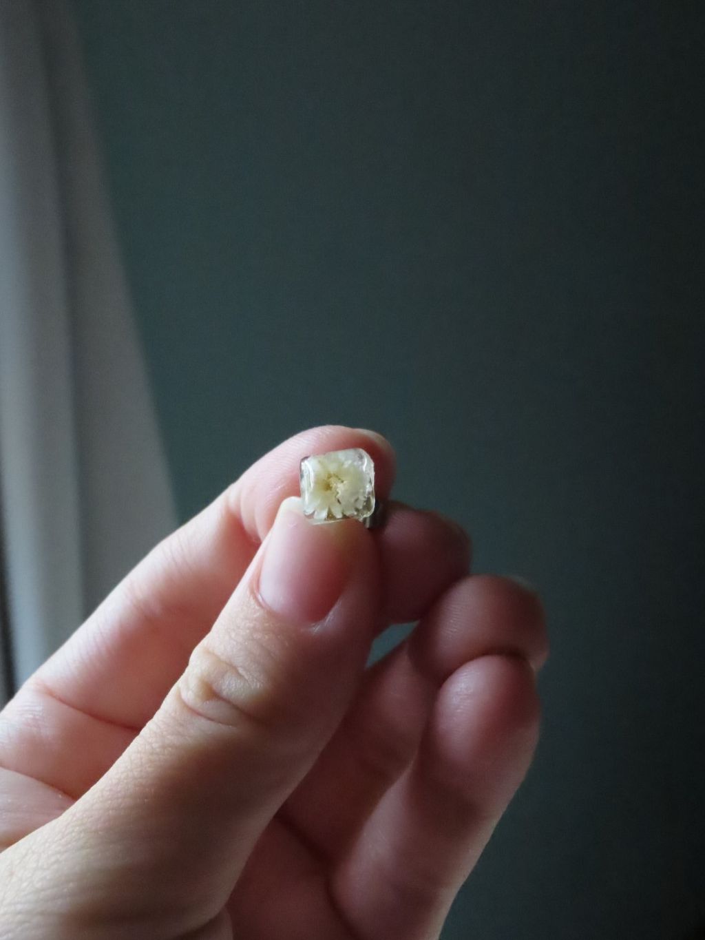 image_D63E2A01-4EE1-4674-A1E8-40E48FD87E60_1776675218