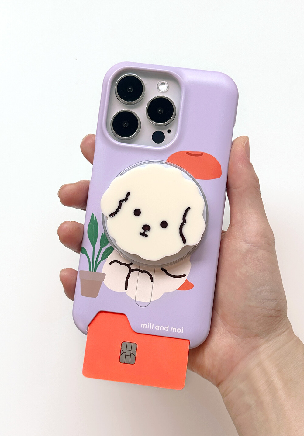 image_1726032965720_1000