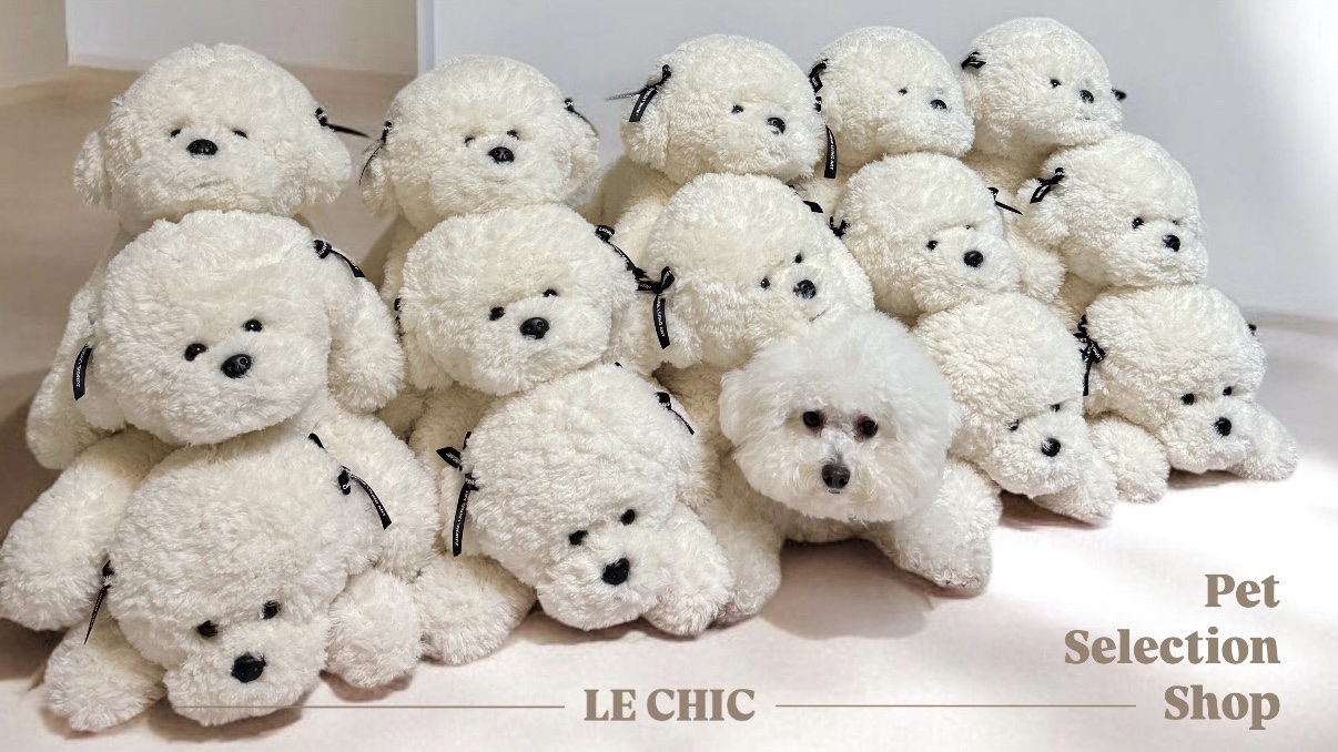  | LE CHIC