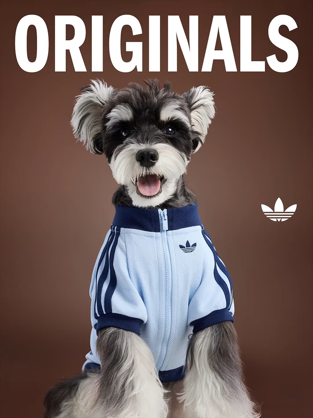⭐︎犬服⭐︎handmade 還記得今年五月adidas Originals 為毛孩推出的運動服飾嗎？這回品牌
