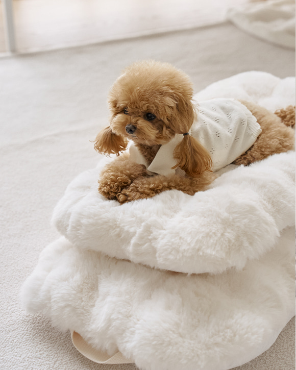 bdf86978f70d9d60791be114b4d7dc8b