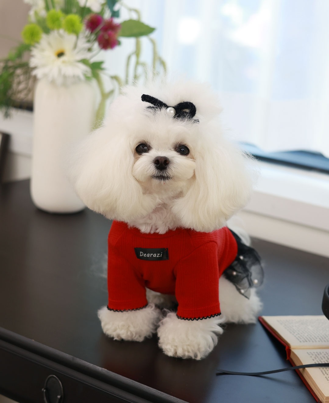 ClipDown.com_584363121_18026810633770217_4356036298931390148_n