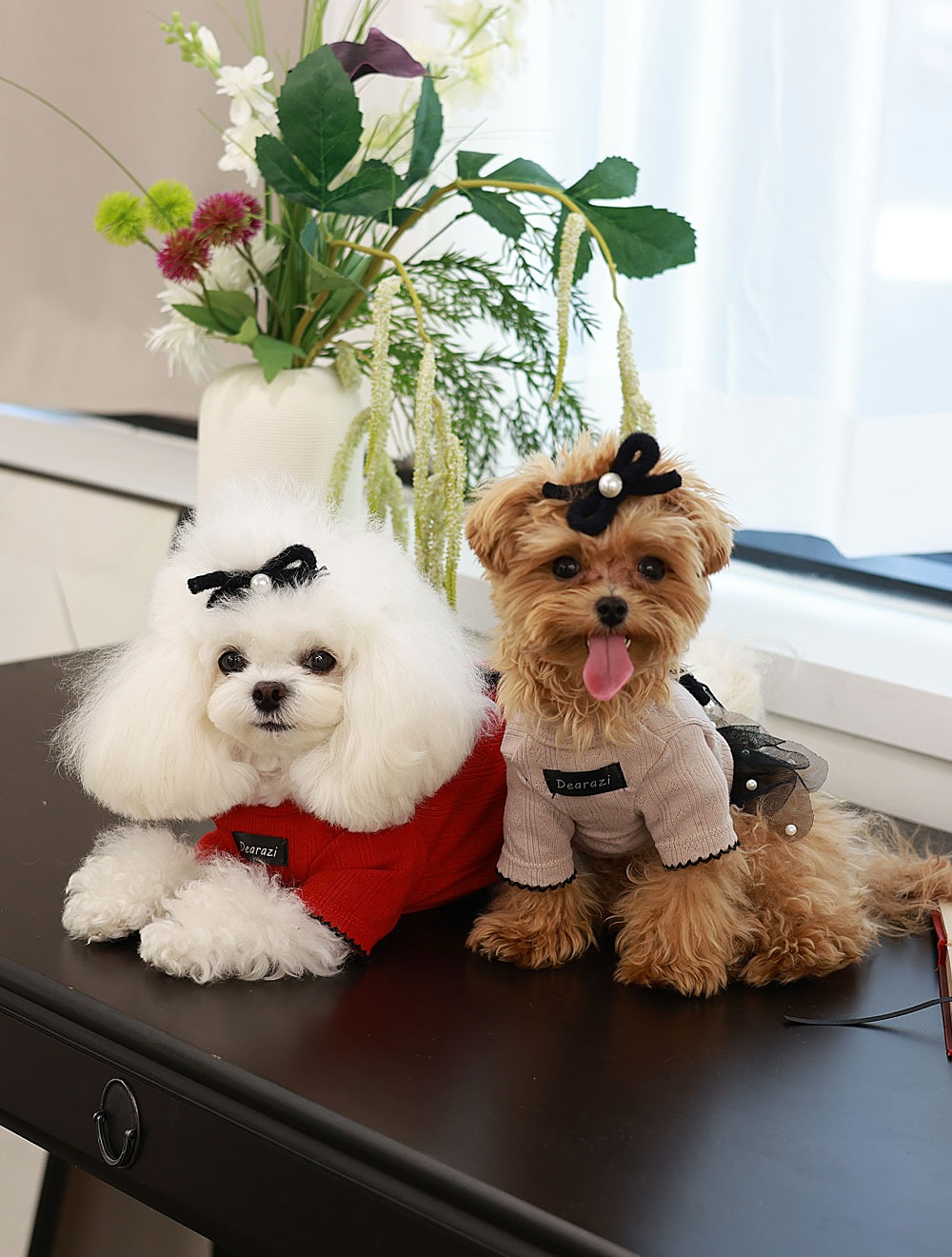 ClipDown.com_581700157_18025895687770217_8426717591242135936_n