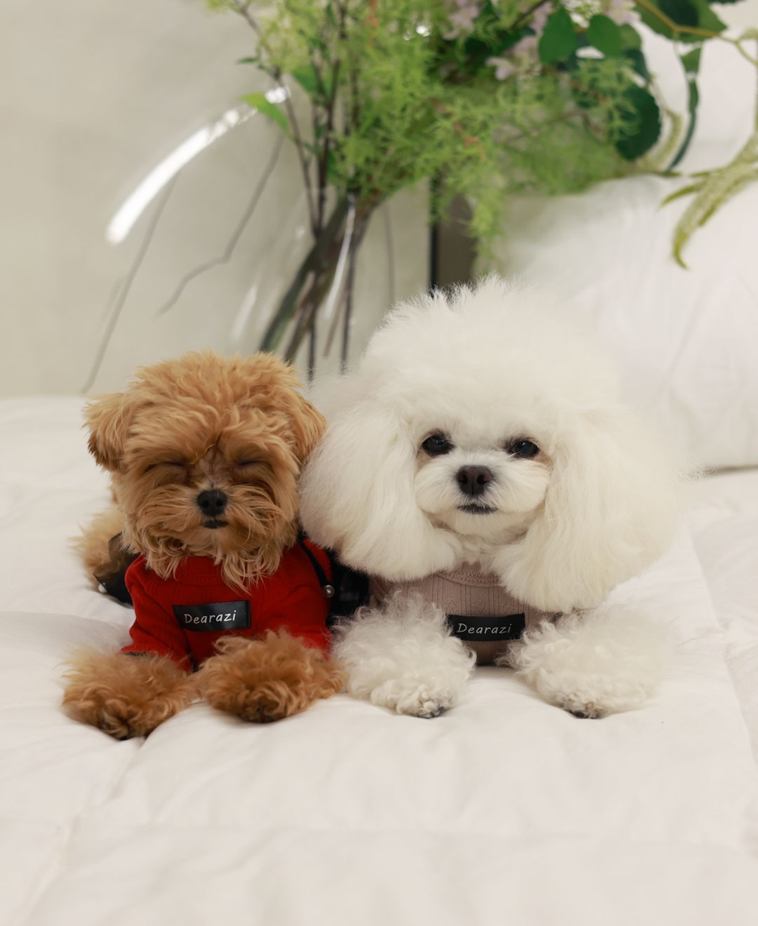 ClipDown.com_587275299_18026810588770217_43423921958364031_n