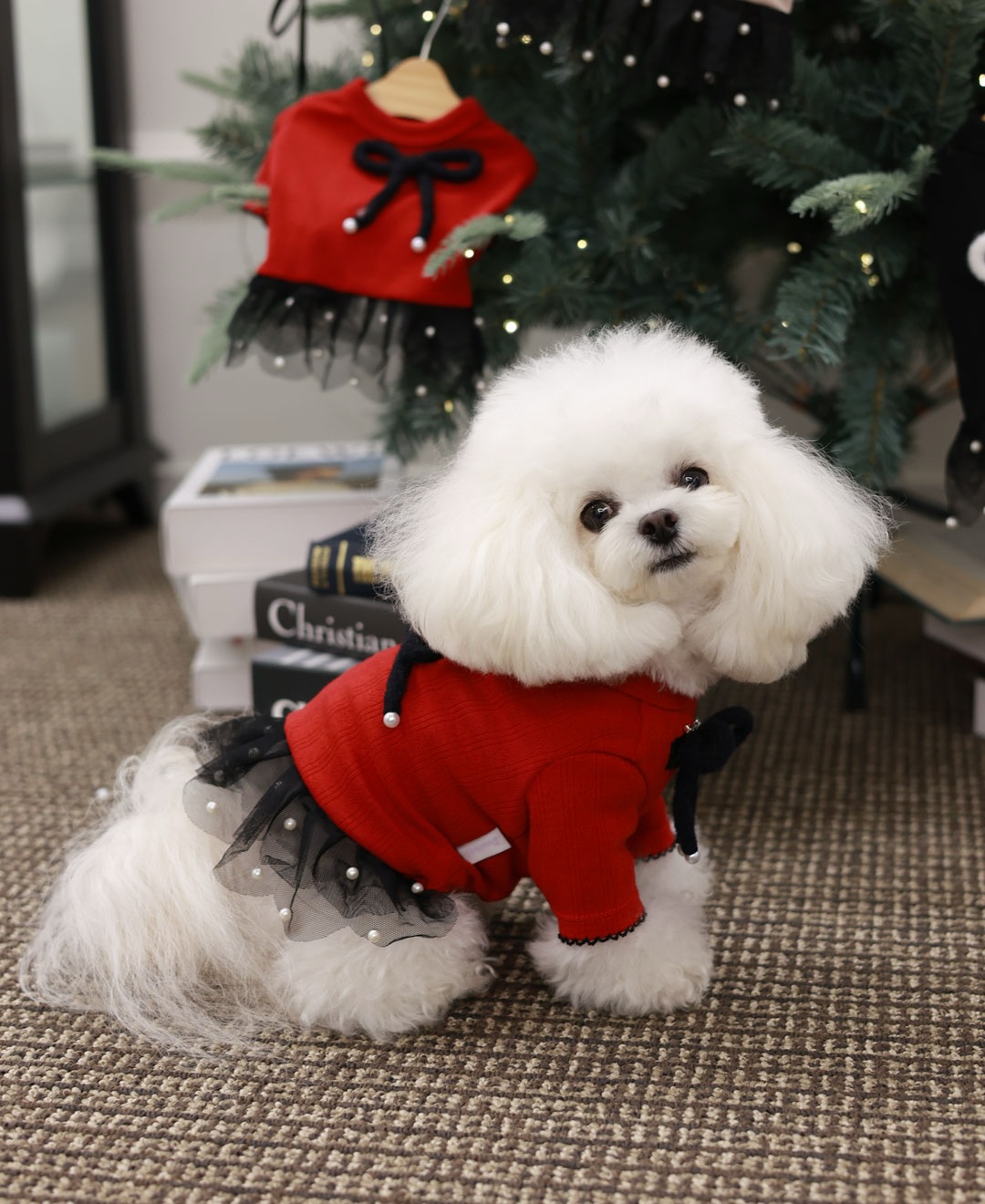 ClipDown.com_587028026_18026810525770217_8536281192608359145_n