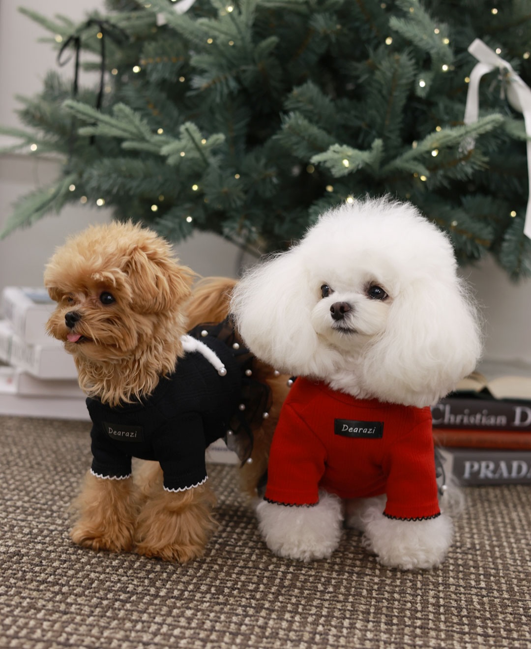 ClipDown.com_587276540_18026634563770217_6912078896078001174_n