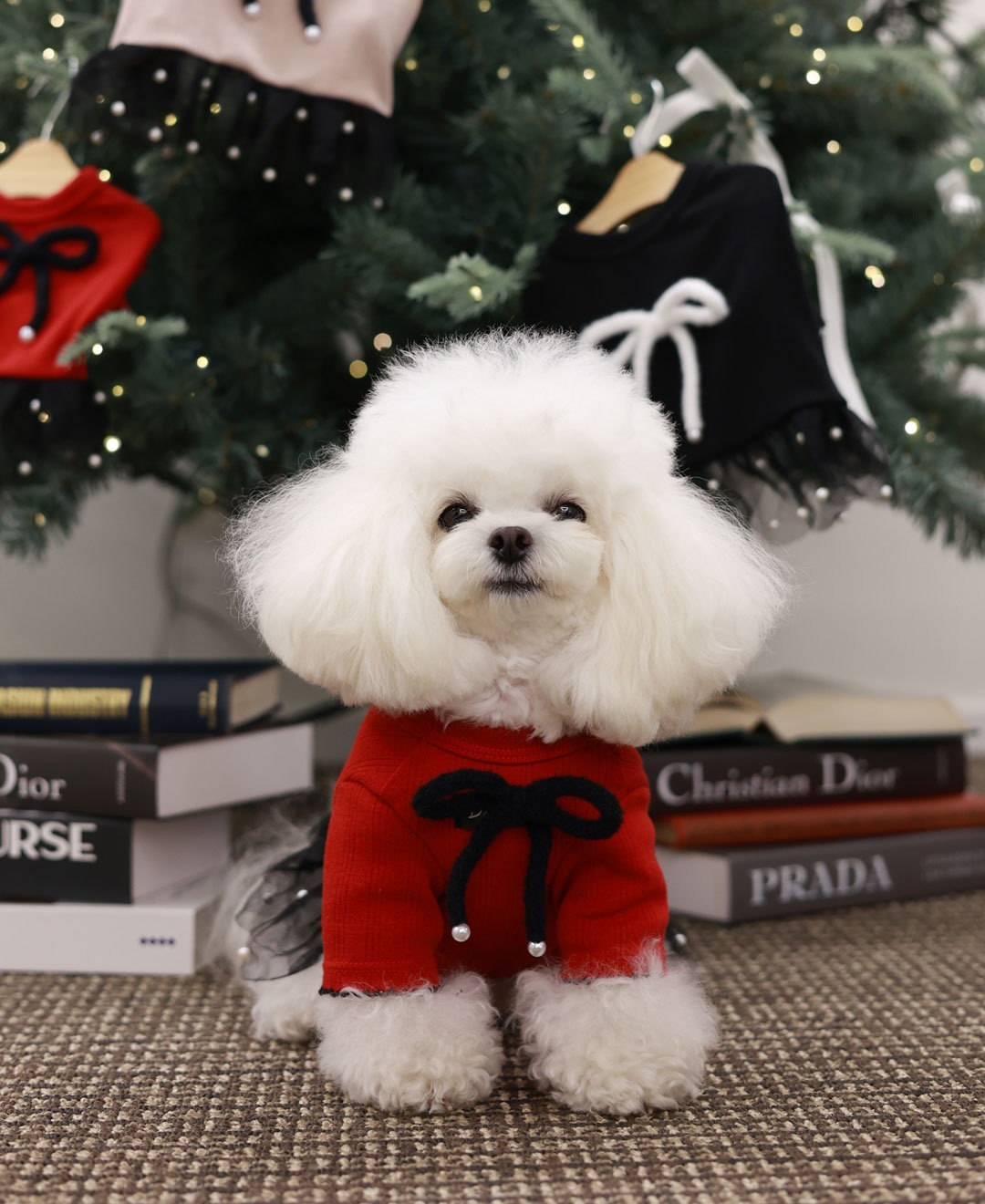 ClipDown.com_587229210_18026810543770217_2029958617337432672_n