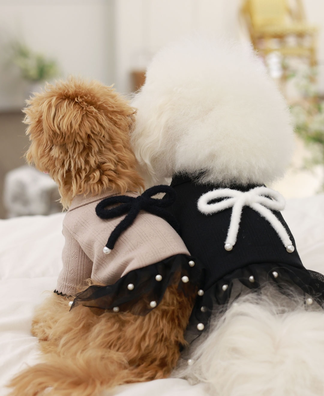 ClipDown.com_584391397_18026634545770217_7337083314440743449_n