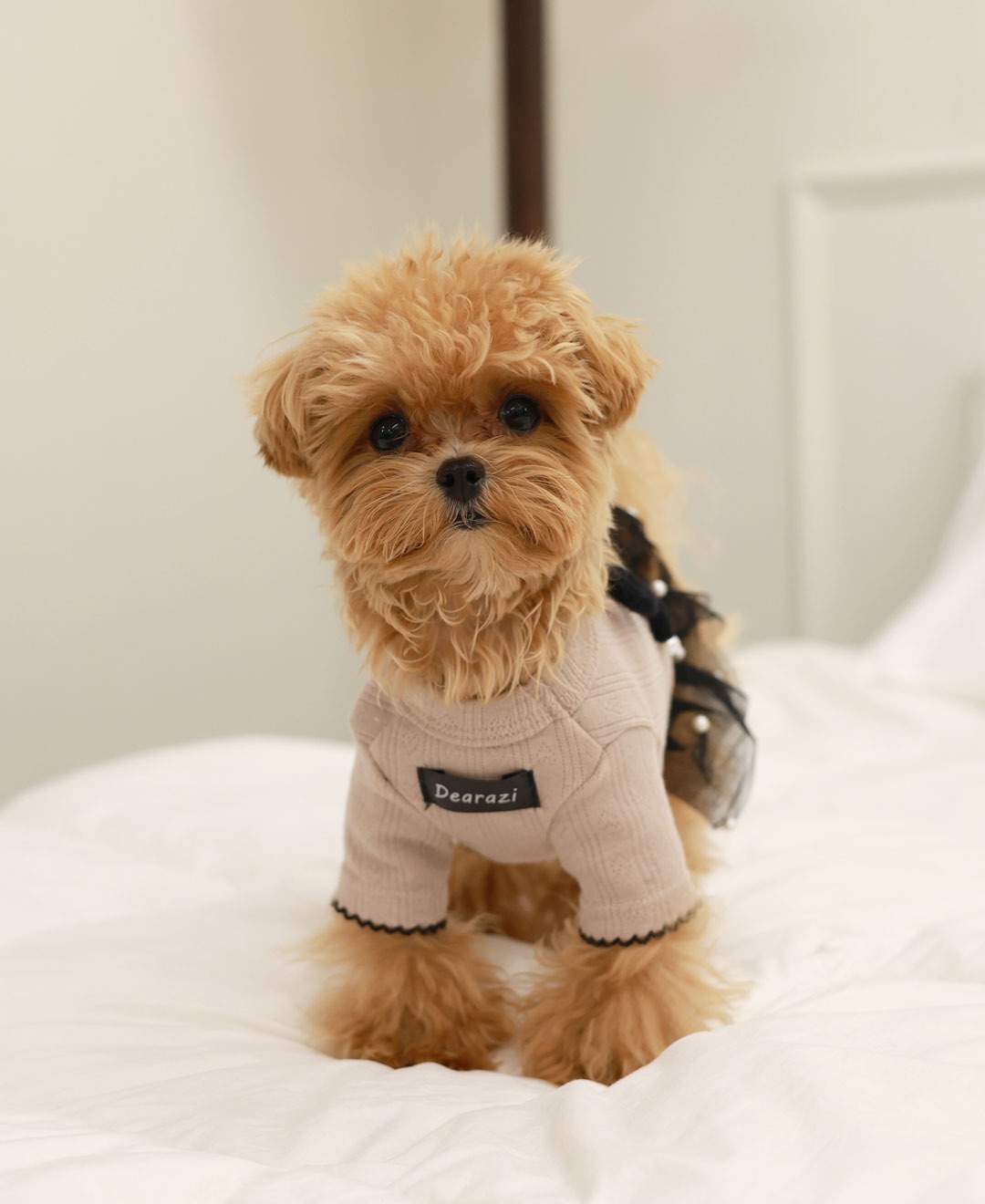 ClipDown.com_587931695_18027666095770217_5378569463149699354_n