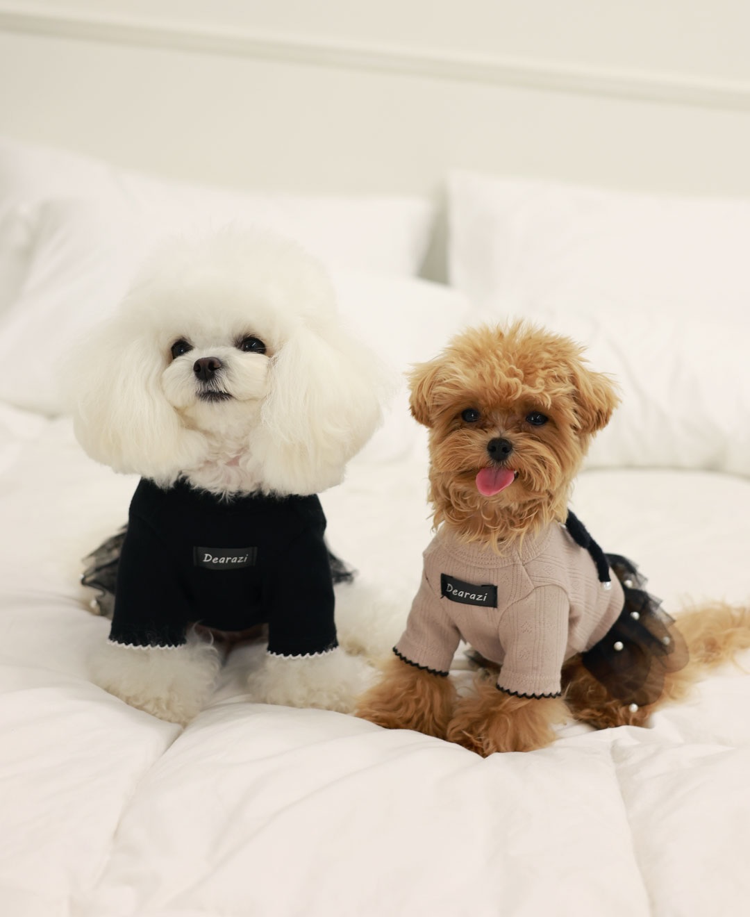 ClipDown.com_584392992_18026634572770217_4689625044878598011_n