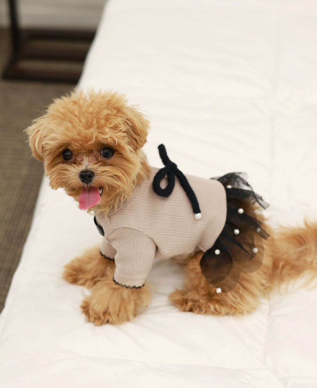 ClipDown.com_588429574_18027666104770217_7978688338937150721_n