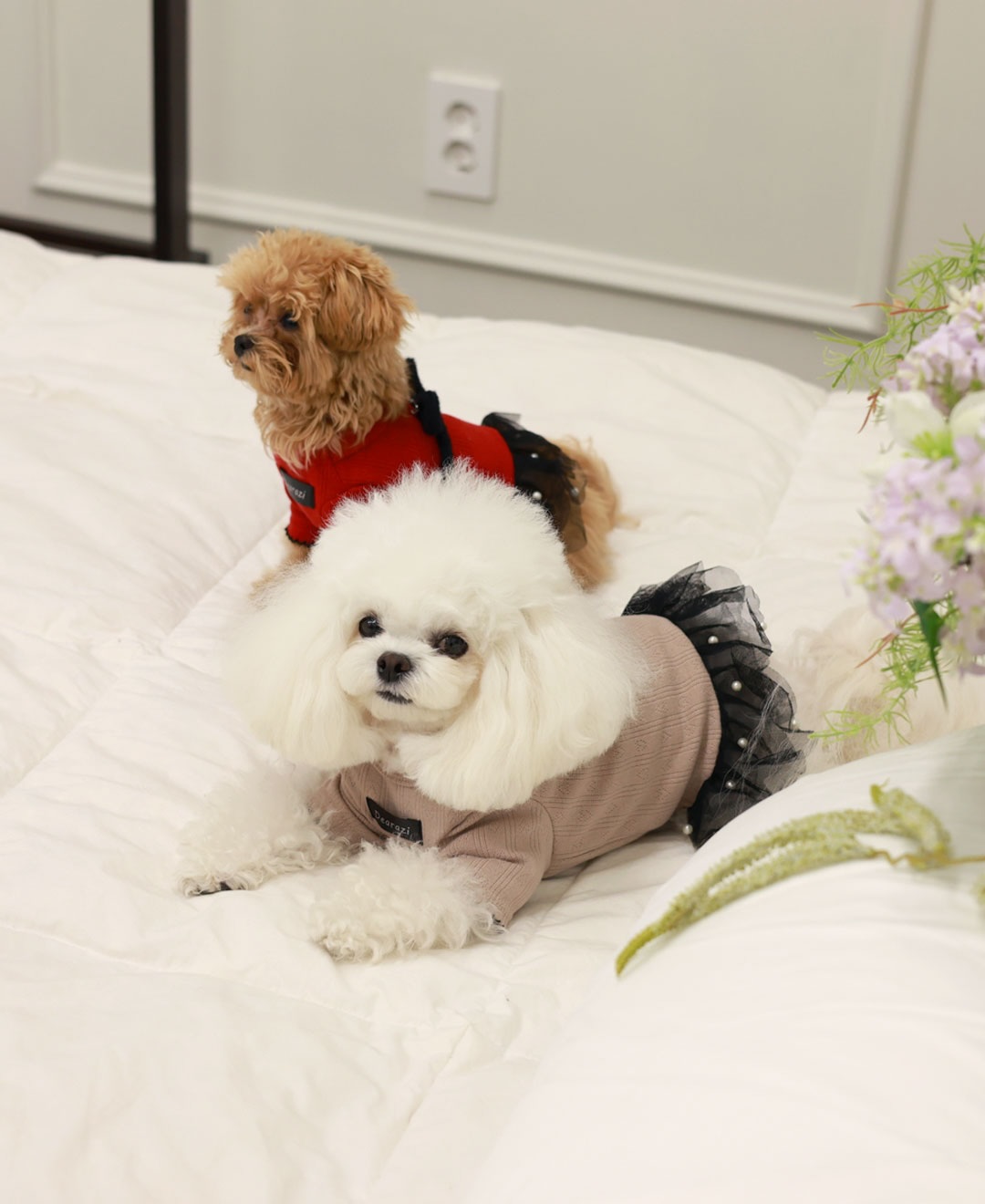 ClipDown.com_588736174_18027666158770217_3496046828320925168_n