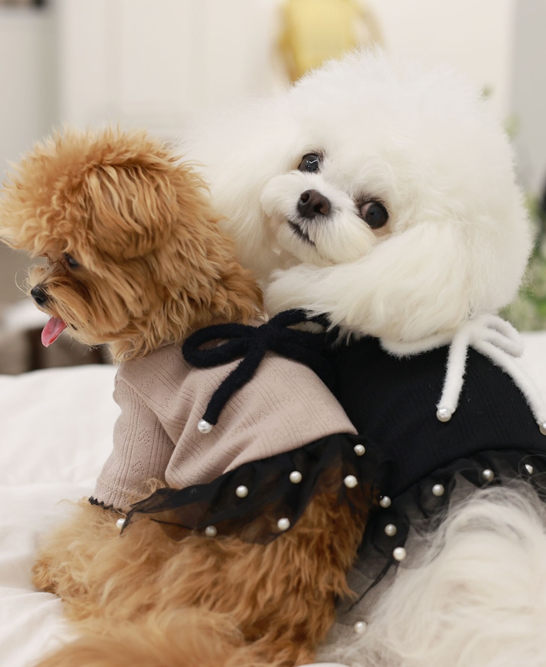 ClipDown.com_584403728_18026634542770217_4915865321644004735_n