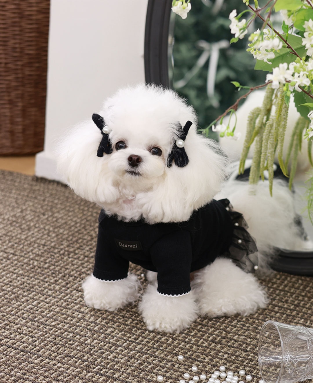 ClipDown.com_587292167_18026634491770217_2463930795272927092_n