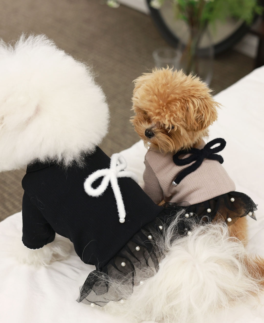 ClipDown.com_589098625_18027666185770217_6059840473554277539_n