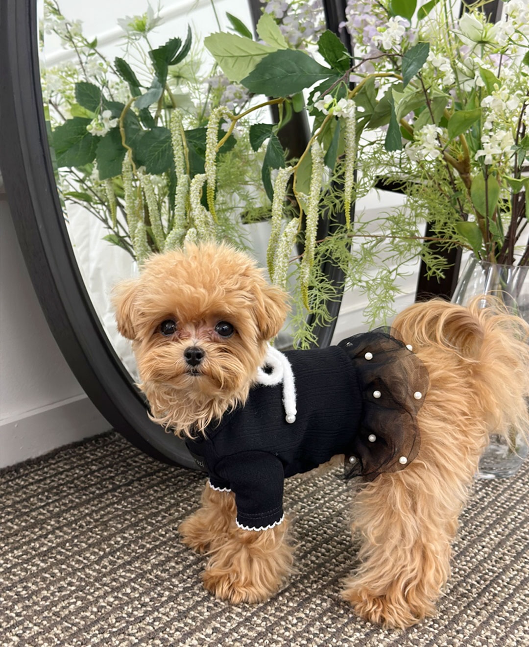 ClipDown.com_588661800_18026634509770217_2860559666252464191_n