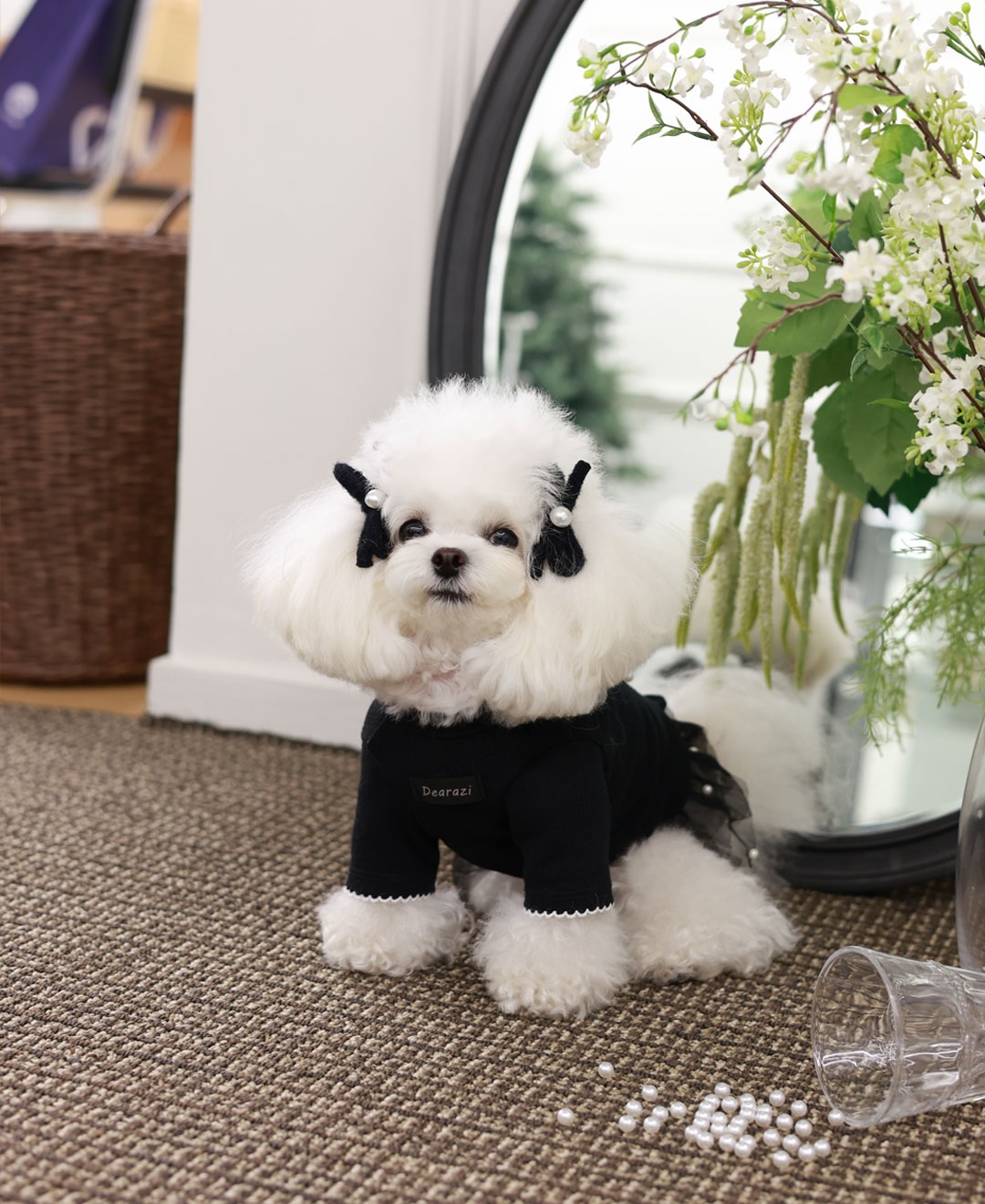 ClipDown.com_589794688_18026634506770217_6114271049463789980_n