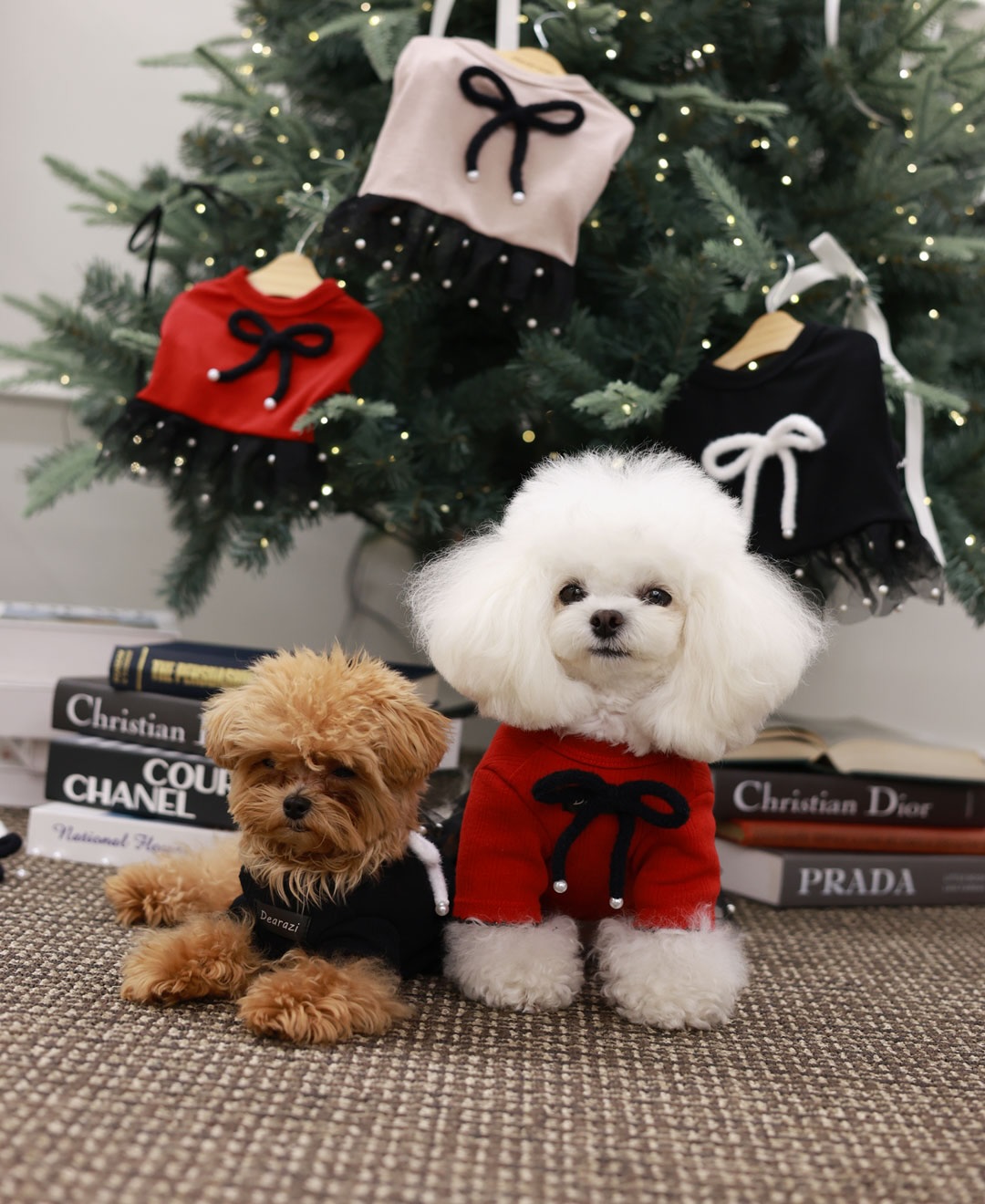 ClipDown.com_589931097_18026810561770217_2488952415867724065_n