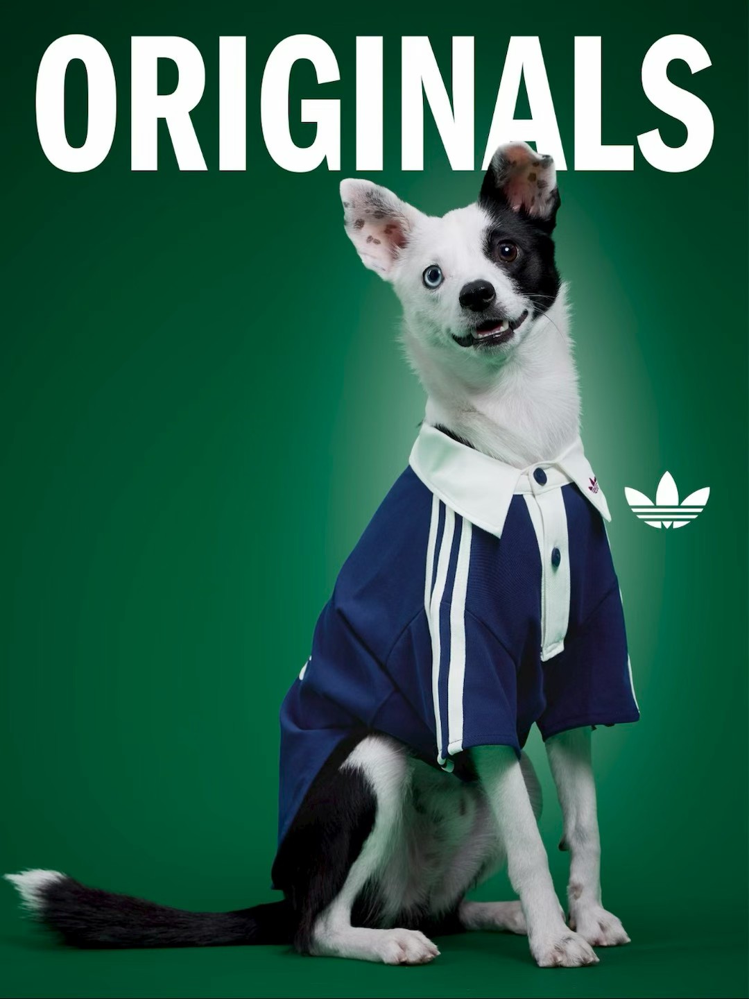 8cbae4ae5dcec4993ff74d97c8f04f7b